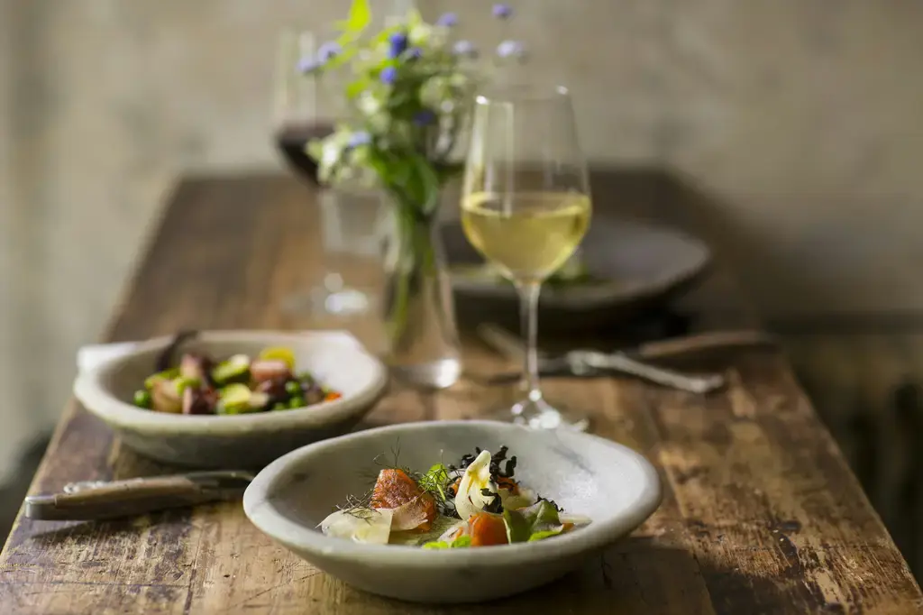 芥花油omega奇蹟：守護健康，提升生活品質