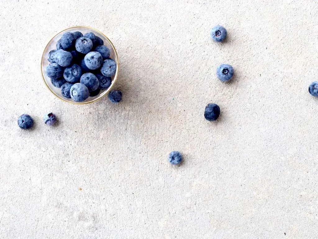 酪梨油脂含量全解析！營養價值、挑選與保存秘訣大公開