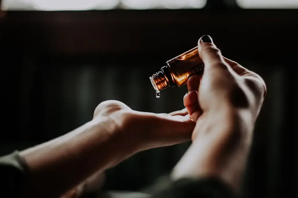 膽固醇與油脂：你的飲食健康關鍵